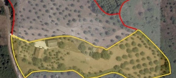 4 bedrooms House in Torres Novas, Portugal No. 21937 10