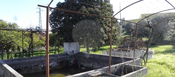 4 bedrooms House in Torres Novas, Portugal No. 21937 42