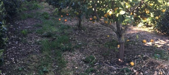 12 rooms Villa in Palermo, Italy No. 52241 12