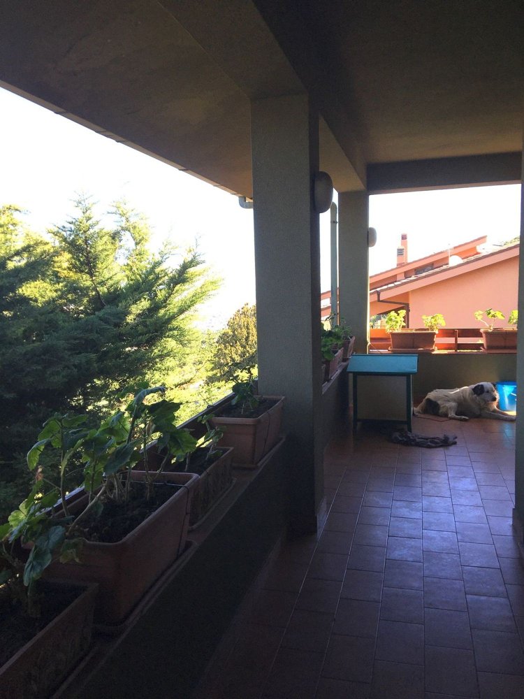 12 rooms Villa in Palermo, Italy No. 52241