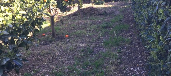 12 rooms Villa in Palermo, Italy No. 52241 6