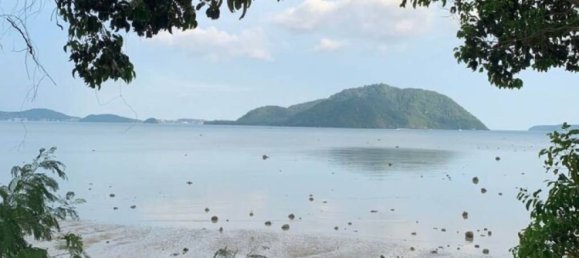  Commercial property in Rawai, Thailand No. 23866 7