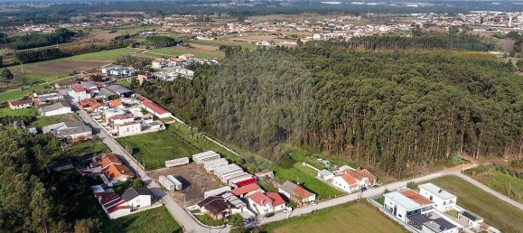 4 chambres Maison à Oliveira do Bairro, Portugal No. 39980 16