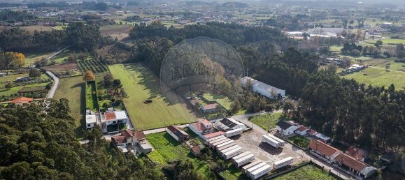 4 chambres Maison à Oliveira do Bairro, Portugal No. 39980 14