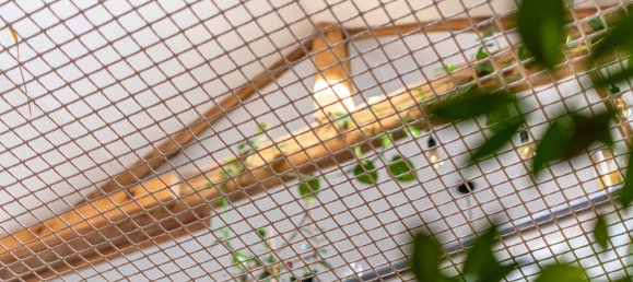 2 bedrooms House in Tiffauges, France No. 65086 8