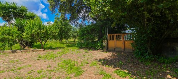 3 bedrooms House in Barcelos, Portugal No. 184578 35