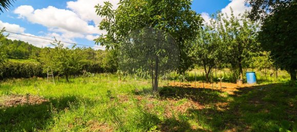 3 bedrooms House in Barcelos, Portugal No. 184578 37