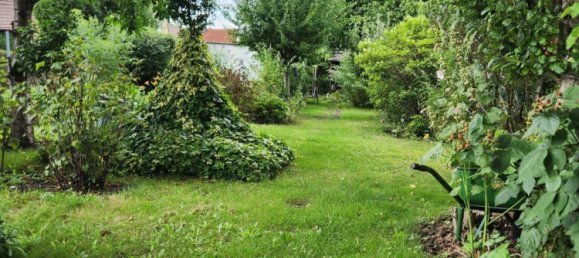 1 bedroom Townhouse in Oberspreewald-Lausitz, Germany No. 361301 16