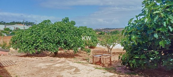 4 bedrooms House in Lourinha, Portugal No. 91622 9