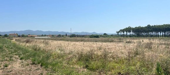 44020m² Land in Castagneto Carducci, Italy No. 175452 7