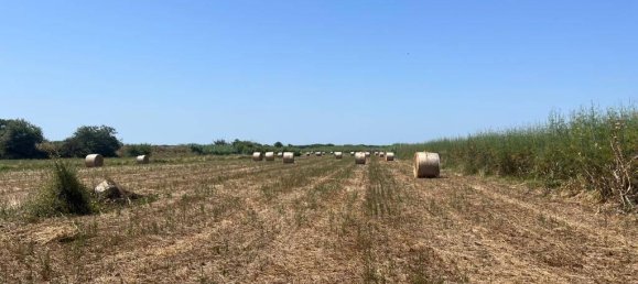 44020m² Land in Castagneto Carducci, Italy No. 175452 3