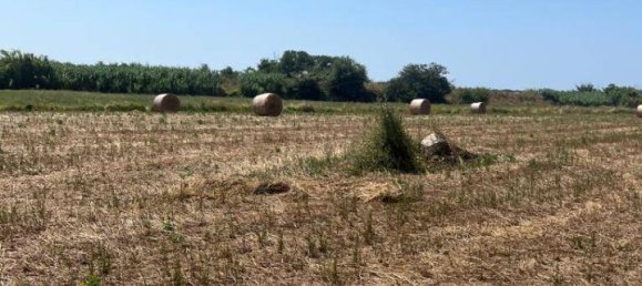 44020m² Land in Castagneto Carducci, Italy No. 175452 2