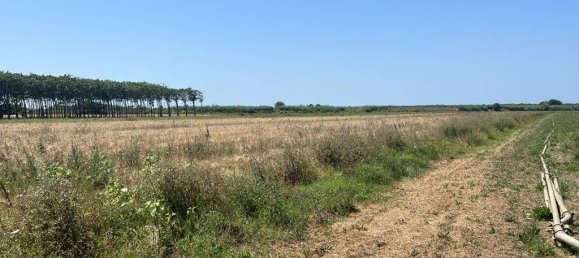 44020m² Land in Castagneto Carducci, Italy No. 175452 8