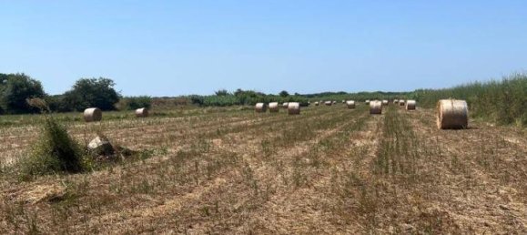 44020m² Land in Castagneto Carducci, Italy No. 175452 4