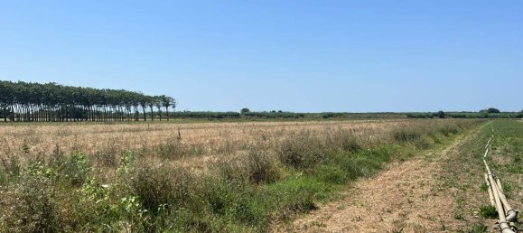 44020m² Land in Castagneto Carducci, Italy No. 175452 6
