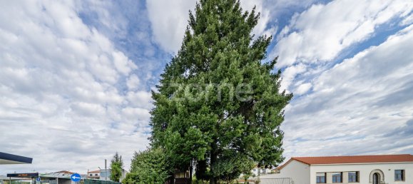 5 Schlafzimmer Haus in Amarante, Portugal, Nr. 123275 5