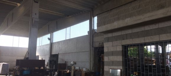 Entrepôt à San Giorgio Piacentino, Italy 2000m² No. 325974 5