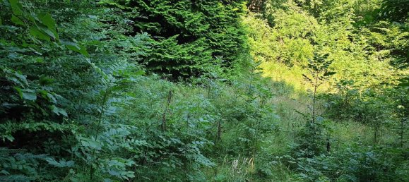 1200m² Land in Hernals, Austria No. 92502 2