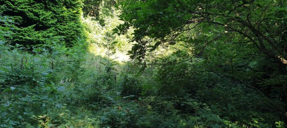 1200m² Land in Hernals, Austria No. 92502 3