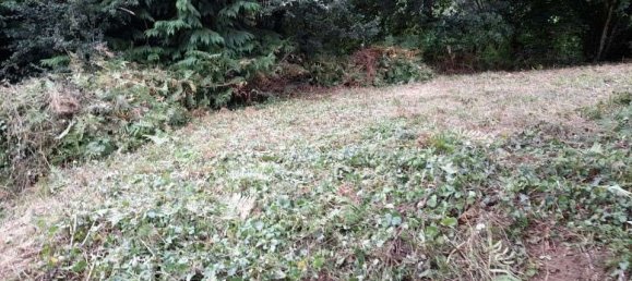 653m² Land in Orne, France No. 93619 6