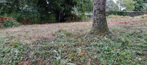 653m² Land in Orne, France No. 93619 3