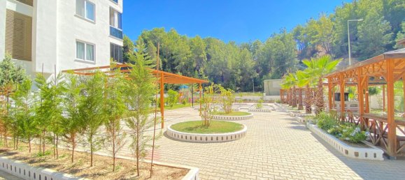 Apartment 1+1 in Alanya, Turkey No. 31779 8