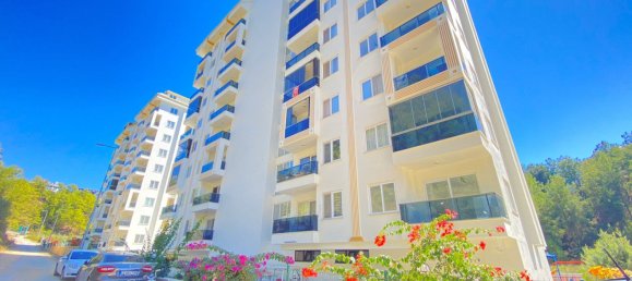 Apartment 1+1 in Alanya, Turkey No. 31779 6