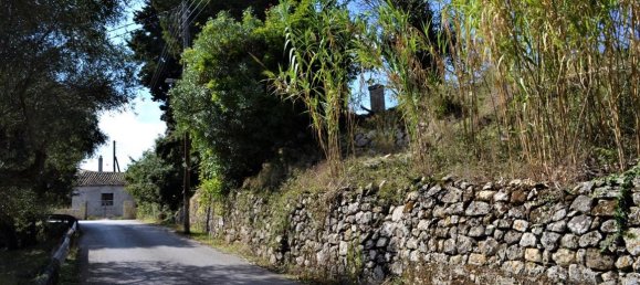 4200m² Hotel in Corfu, Greece No. 4505 11