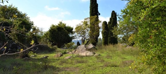 Hotel em Corfu, Greece 4200 m² N.º 4505 2
