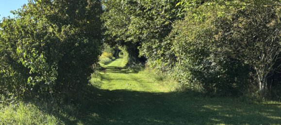 7 bedrooms Townhouse in Munich, Germany No. 295049 28