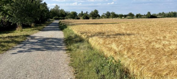 7 bedrooms Townhouse in Munich, Germany No. 295049 26