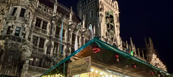 7 bedrooms Townhouse in Munich, Germany No. 295049 34