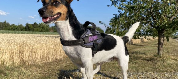 7 bedrooms Townhouse in Munich, Germany No. 295049 25