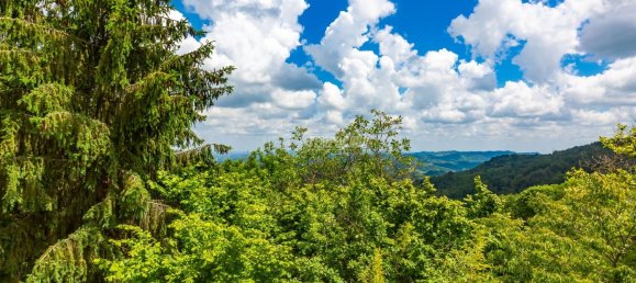 4-Zimmer Haus in Castagneto Po, Italy, Nr. 145533 20