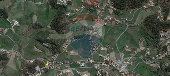 4 chambres Maison à Rego, Portugal No. 174132 26