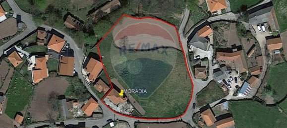 4 chambres Maison à Rego, Portugal No. 174132 25