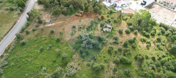 9 Schlafzimmer Haus in Condeixa a Nova, Portugal, Nr. 66047 2