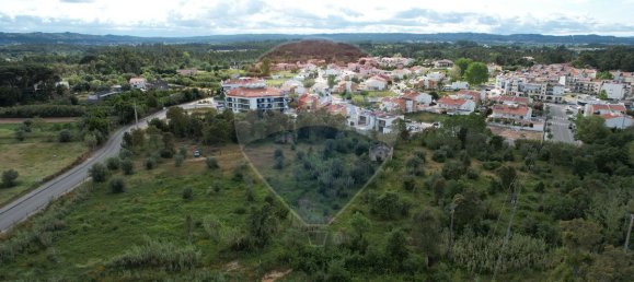 9 Schlafzimmer Haus in Condeixa a Nova, Portugal, Nr. 66047 5