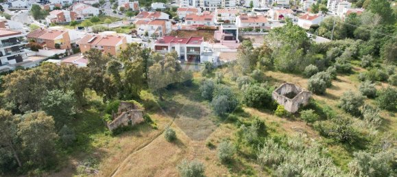 9 Schlafzimmer Haus in Condeixa a Nova, Portugal, Nr. 66047 3