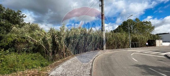 9 Schlafzimmer Haus in Condeixa a Nova, Portugal, Nr. 66047 12