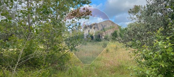 9 Schlafzimmer Haus in Condeixa a Nova, Portugal, Nr. 66047 11