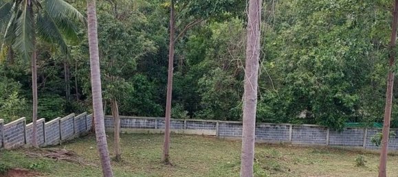  Commercial property in Ko Samui, Thailand No. 25325 3