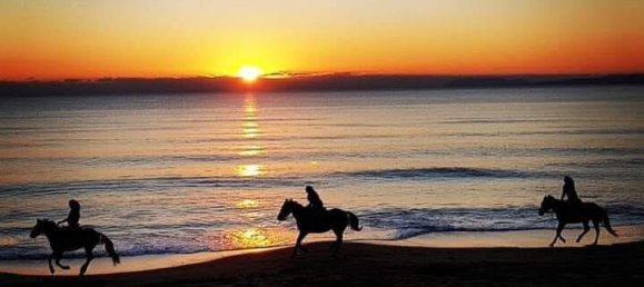 800m² Hotel in Elis, Greece No. 3202 5