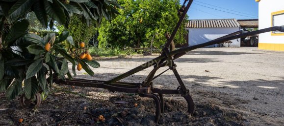 9 bedrooms House in Montijo, Portugal No. 145336 5