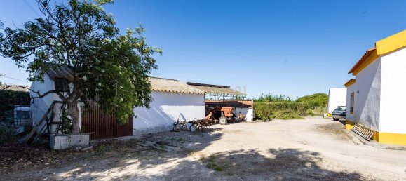 9 bedrooms House in Montijo, Portugal No. 145336 9