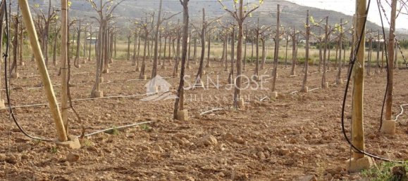 1 Schlafzimmer Haus in Aspe, Spain, Nr. 91909 27