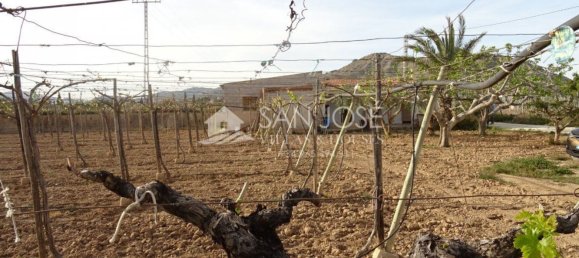 1 Schlafzimmer Haus in Aspe, Spain, Nr. 91909 10