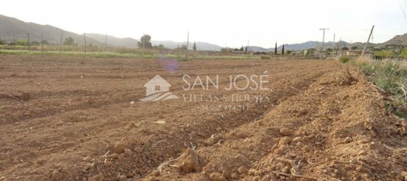 1 Schlafzimmer Haus in Aspe, Spain, Nr. 91909 20