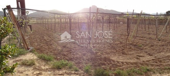 1 Schlafzimmer Haus in Aspe, Spain, Nr. 91909 18