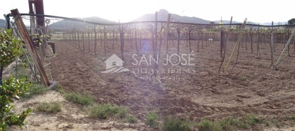 1 Schlafzimmer Haus in Aspe, Spain, Nr. 91909 19